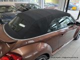 VW Beetle bei Reisemobile.expert - Abbildung (11 / 15)