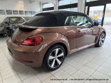 VW Beetle bei Reisemobile.expert - Abbildung (7 / 15)