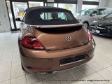 VW Beetle bei Reisemobile.expert - Abbildung (8 / 15)