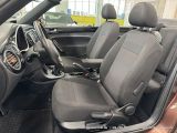 VW Beetle bei Reisemobile.expert - Abbildung (15 / 15)