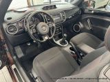 VW Beetle bei Reisemobile.expert - Abbildung (13 / 15)