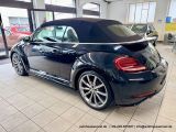 VW Beetle bei Reisemobile.expert - Abbildung (9 / 15)