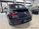 VW Beetle bei Reisemobile.expert - Abbildung (8 / 15)