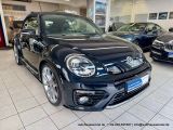VW Beetle bei Reisemobile.expert - Abbildung (5 / 15)