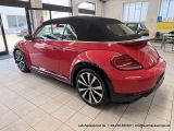 VW Beetle bei Reisemobile.expert - Abbildung (9 / 15)