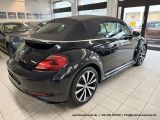 VW Beetle bei Reisemobile.expert - Abbildung (8 / 15)