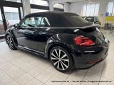 VW Beetle bei Reisemobile.expert - Abbildung (10 / 15)