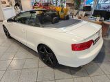 Audi A5 Cabriolet bei Reisemobile.expert - Abbildung (4 / 10) Audi A5 Cabriolet bei Reisemobile.expert - Abbildung (4 / 10)