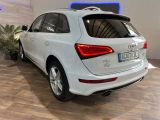 Audi Q5 bei Reisemobile.expert - Abbildung (6 / 15)