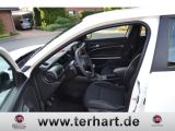Jeep Avenger bei Reisemobile.expert - Abbildung (6 / 13)