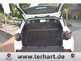 Jeep Avenger bei Reisemobile.expert - Abbildung (5 / 13)