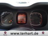 Fiat Panda bei Reisemobile.expert - Abbildung (11 / 13)