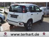 Fiat Panda bei Reisemobile.expert - Abbildung (4 / 13)