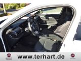Jeep Avenger bei Reisemobile.expert - Abbildung (7 / 13)