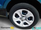 Ford EcoSport bei Reisemobile.expert - Abbildung (9 / 15)