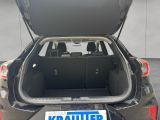 Ford Puma bei Reisemobile.expert - Abbildung (9 / 9)