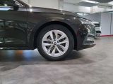 Skoda Octavia bei Reisemobile.expert - Abbildung (5 / 15)