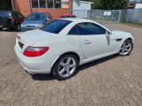 Mercedes-Benz SLK-Klasse bei Reisemobile.expert - Abbildung (10 / 15)