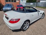 Mercedes-Benz SLK-Klasse bei Reisemobile.expert - Abbildung (5 / 15)