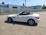 Mercedes-Benz SLK-Klasse bei Reisemobile.expert - Abbildung (4 / 15)