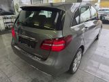 Mercedes-Benz B-Klasse bei Reisemobile.expert - Abbildung (7 / 15)