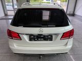 Mercedes-Benz E-Klasse bei Reisemobile.expert - Abbildung (8 / 15)