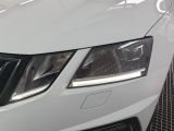 Skoda Octavia bei Reisemobile.expert - Abbildung (4 / 15)