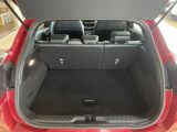 Ford Puma bei Reisemobile.expert - Abbildung (6 / 15)
