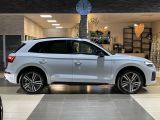 Audi Q5 bei Reisemobile.expert - Abbildung (4 / 15)