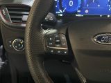 Ford Puma bei Reisemobile.expert - Abbildung (14 / 15)