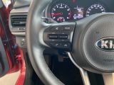 Kia Rio bei Reisemobile.expert - Abbildung (14 / 15)