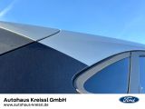 Ford Puma bei Reisemobile.expert - Abbildung (8 / 9)