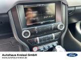Ford Mustang bei Reisemobile.expert - Abbildung (13 / 15)