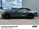 Ford Mustang bei Reisemobile.expert - Abbildung (2 / 15)