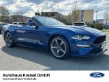 Ford Mustang bei Reisemobile.expert - Abbildung (7 / 14)