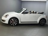 VW Beetle bei Reisemobile.expert - Abbildung (3 / 15)