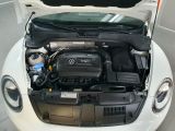 VW Beetle bei Reisemobile.expert - Abbildung (13 / 15)