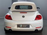VW Beetle bei Reisemobile.expert - Abbildung (6 / 15)