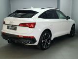 Audi SQ5 bei Reisemobile.expert - Abbildung (5 / 15)
