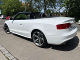 Audi A5 bei Reisemobile.expert - Abbildung (6 / 15) Audi A5 bei Reisemobile.expert - Abbildung (6 / 15)