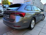 Skoda Octavia bei Reisemobile.expert - Abbildung (7 / 15)