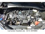 Toyota C-HR bei Reisemobile.expert - Abbildung (11 / 12)