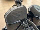 Harley-Davidson Sportster bei Reisemobile.expert - Abbildung (13 / 15)