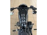 Harley-Davidson Sportster bei Reisemobile.expert - Abbildung (6 / 15)