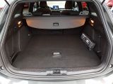 Ford Focus ST bei Reisemobile.expert - Abbildung (12 / 15)