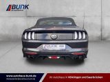 Ford Mustang bei Reisemobile.expert - Abbildung (3 / 15)