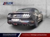 Ford Mustang bei Reisemobile.expert - Abbildung (4 / 15)