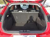 Ford Puma bei Reisemobile.expert - Abbildung (12 / 15)