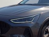 Ford Focus bei Reisemobile.expert - Abbildung (5 / 15)