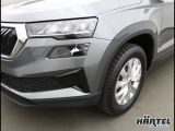 Skoda Karoq bei Reisemobile.expert - Abbildung (4 / 15)